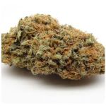 Шишки AK47  (Гидропоника, Бошка) VHQ в Кемерово